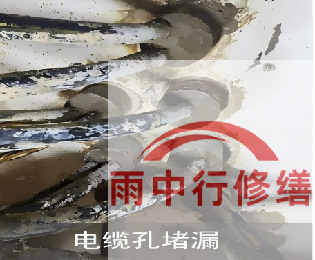 嘉定电缆线空洞堵漏加固案例